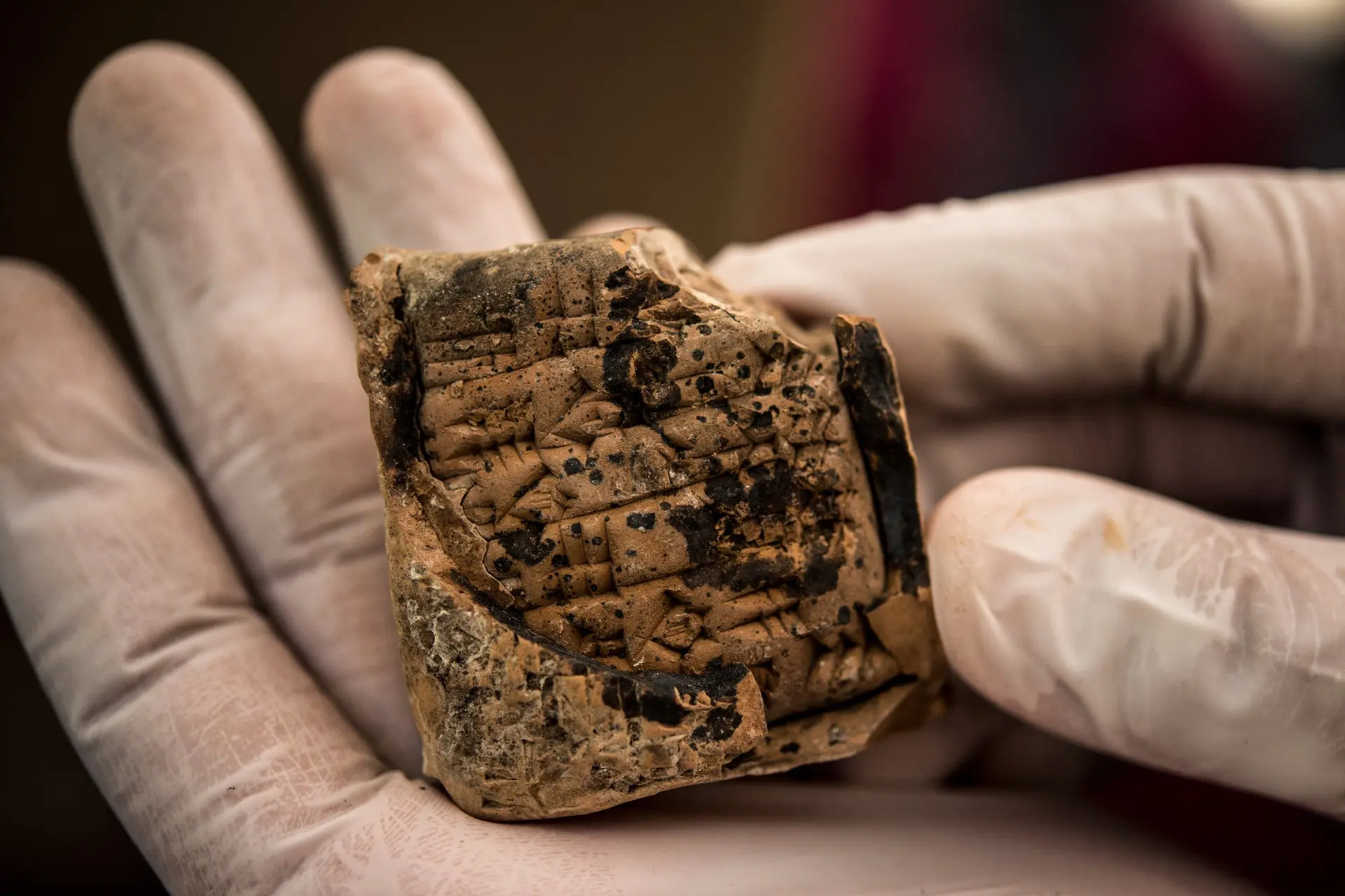 The Museum of Looted Antiquities: A Digital Window into the Black Market